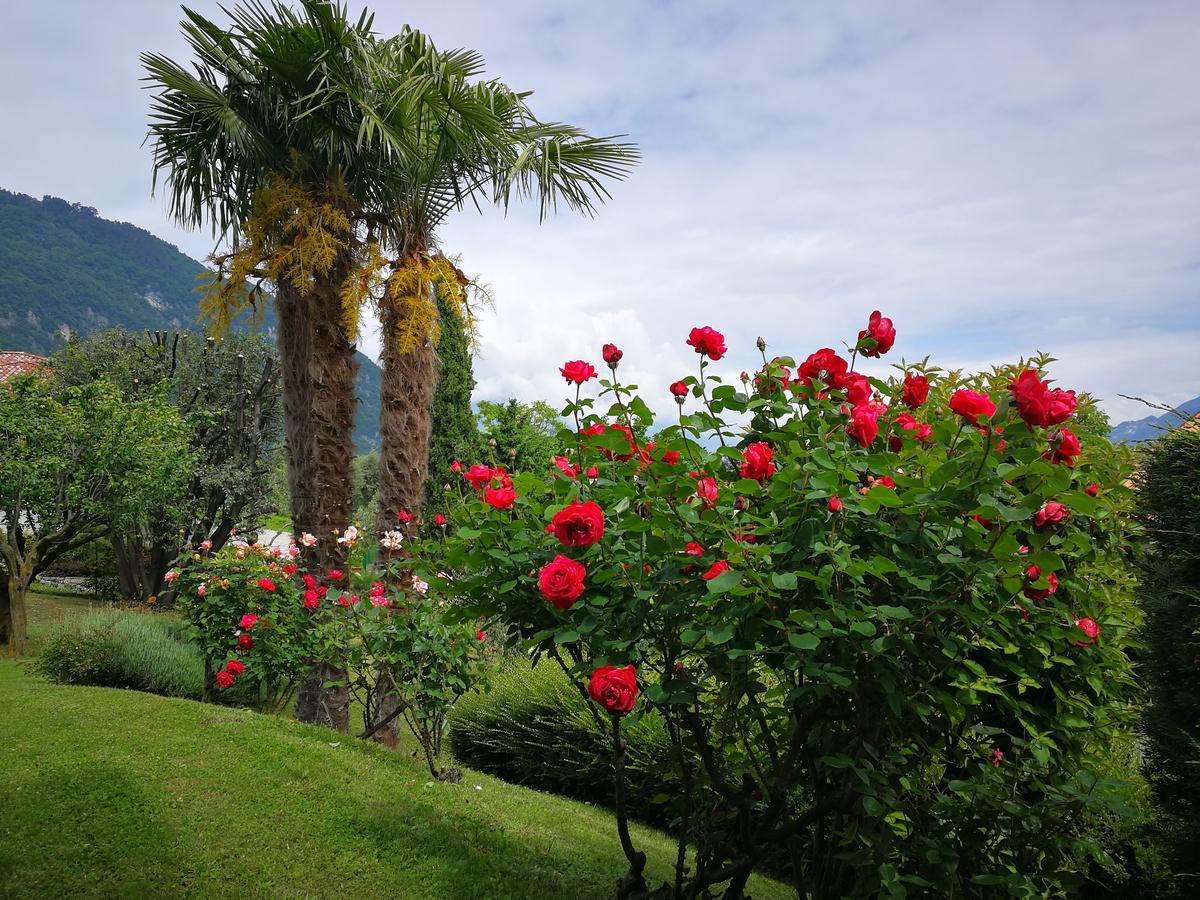 Bellagio Lake View Villa Oliveto Lario Esterno foto