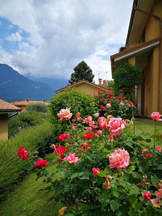 Bellagio Lake View Villa Oliveto Lario Esterno foto