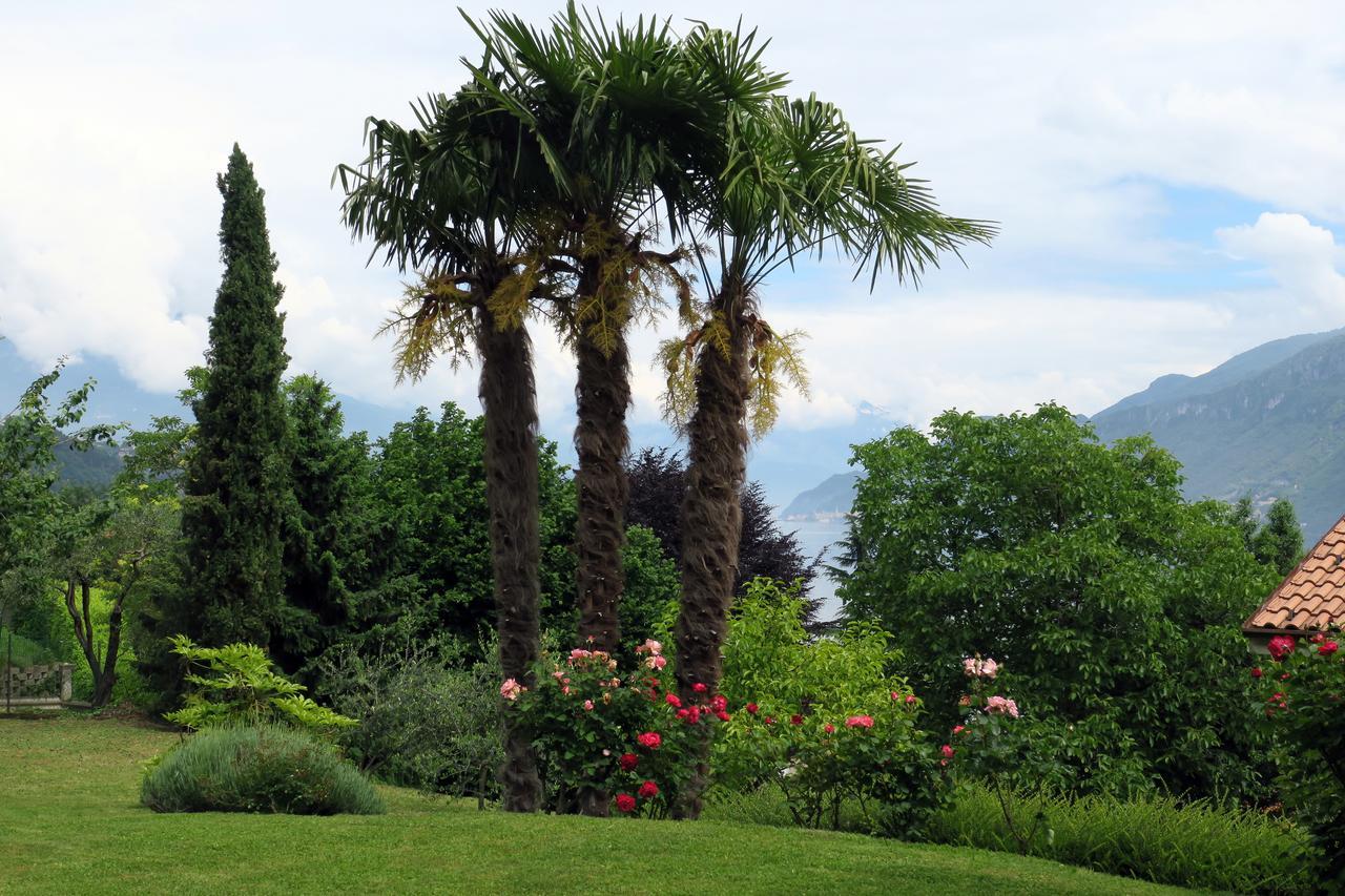 Bellagio Lake View Villa Oliveto Lario Esterno foto